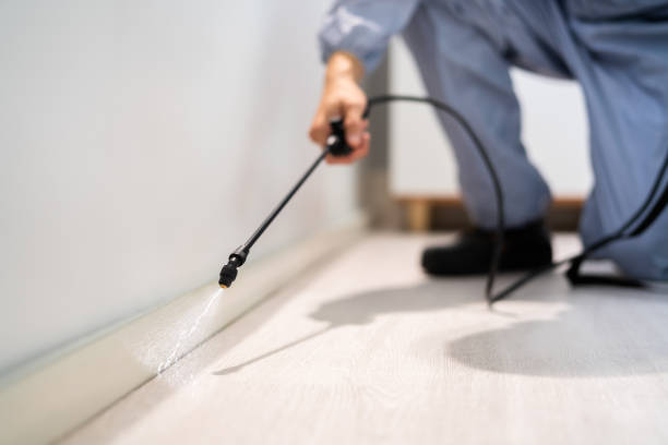 Licensed Termite Control service in Beechwood, MS - Nex Pest Control