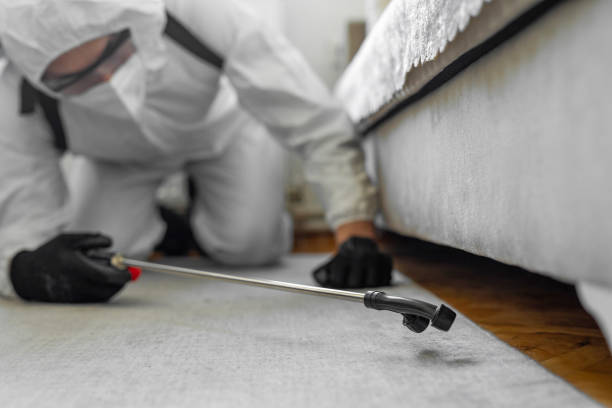 Professional Termite Control technician working in Beechwood, MS