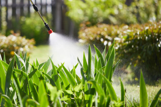 24/7 Emergency Termite Control experts in Beechwood, MS