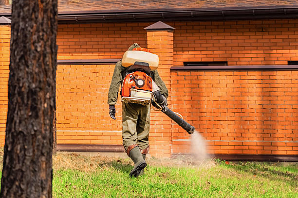 Top rated local Termite Control specialists in Beechwood, MS